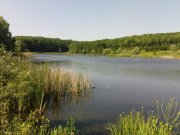 DSC00901.JPG