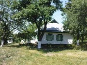 DSC00907.JPG