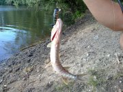 16062010074н.JPG