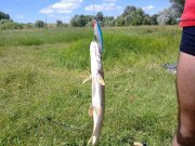 16062010076н.JPG