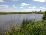 16062010078н.JPG
