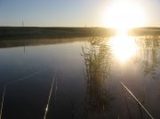 IMG_8954.jpg