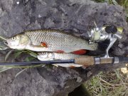 19062010350.jpg