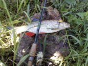 19062010349.jpg