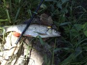 19062010348.jpg