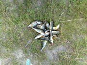 19062010289.jpg