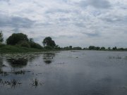 IMG_1739.JPG
