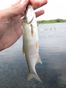IMG_1738.jpg