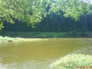 DSC00462.JPG