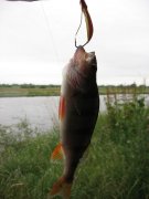 IMG_5755.jpg