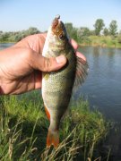 IMG_1025.JPG