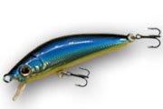 mustangminnow60.jpg