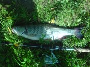 DSC00693.JPG