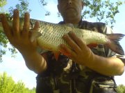 DSC00698.JPG