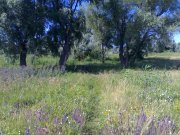 280620101964.jpg
