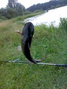 26062010047.jpg