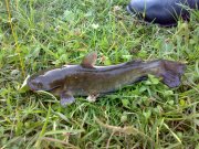 26062010048.jpg