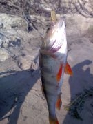 03072010087.jpg