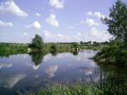 04.07-1.jpg
