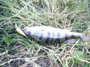 04.07-5.jpg