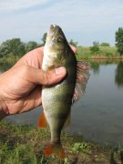 IMG_1051.JPG