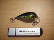 DSCN6083.jpg