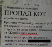 1278275853_2.jpg