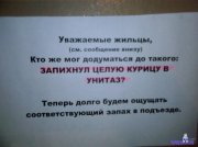 1278370774_20.jpg