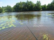 IMG_9119.jpg