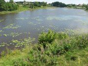 IMG_9140.jpg