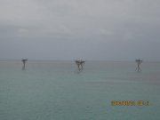 IMG_0027.jpg