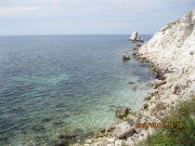 IMG_0254.jpg