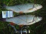 DSC00724.JPG