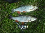 DSC00723.JPG