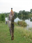 IMG_1086.JPG