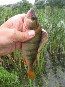 IMG_1089.JPG