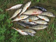 IMG_1096.JPG