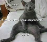 доктор -кот.jpg