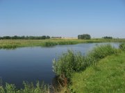 IMG_9208.jpg