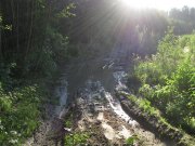 IMG_1111.jpg
