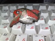 12072010385.jpg