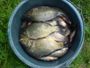 DSC03039.JPG
