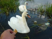 DSC03035.JPG