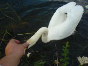 DSC03034.JPG