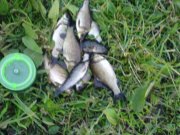 DSC03037.JPG
