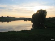 IMG_9253.JPG