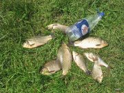 IMG_9281.JPG