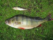 IMG_1706.JPG
