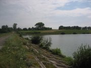 03.jpg