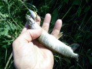 04.07-3.jpg